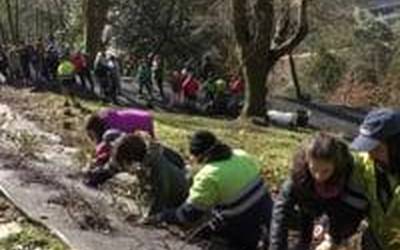 Zuhaitzaren eguna ospatuz, landareak landatu dituzte Elosegi Parkean