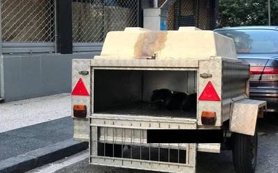Txakurrentzako atoi batean tona bat arrain garraiatu du gizon batek ekainetik
