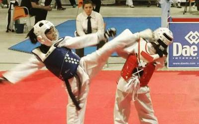 Taekwondo erakustaldia igandean Altsasun
