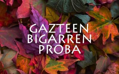 VI. Orbel Jokuetako gazteen bigarren proba