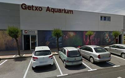 Getxoko akuarioa datorren urtarrilaren 31n ixtea proposatu du Gobernu-taldeak