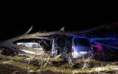Zuhaitz bat erori da bi autoren gainera Bergara eta Elorregi artean