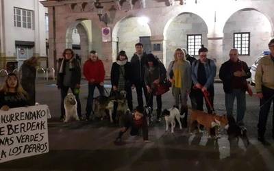 Gizakiaren lagun onenak leku barik jarraitzen du Bergaran