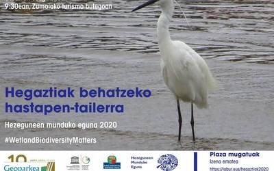 Hegaztiak behatzen ikasteko irteera gidatua antolatu du Geoparkeak otsailaren 9an