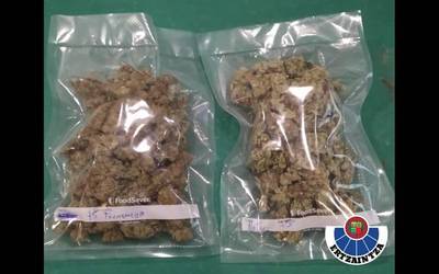 Aiako pabiloi batean 15 kilo marihuana eta kilo bat haxix atzeman ditu Ertzaintzak