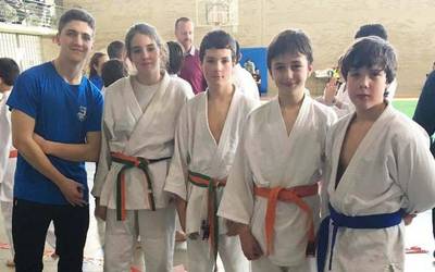 Eskualdeko sei kirolari Nafarroako judo txapelketan