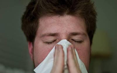 Gripe-izurritea jaisten hasi da Nafarroan