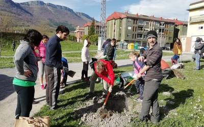 50 zuhaitz landatu dituzte Urduñan, auzolanean