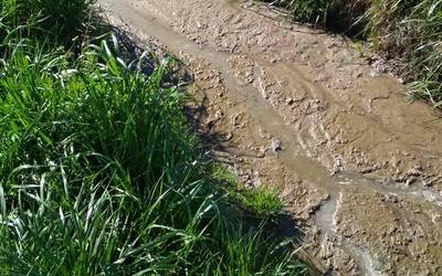 Dosierra ireki diote Estarroako abeltzaintza ustiategi bati, mindak botatzeagatik