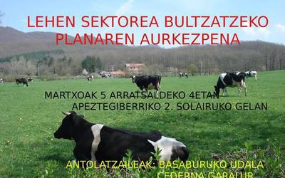 Lehen sektorea bultzatzeko planaren aurkezpena eginen du Basaburuko Udalak ostegunean