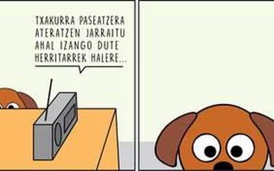 Enoken bigarren zinta, txakurrarekin kalera ateratzeko aukeraz