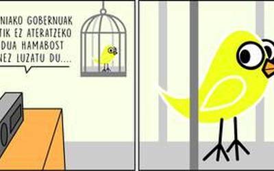'Urola Kostako Hitza' egunkarirako binetak egiten hasi da Enok