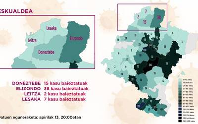 Elizondon 38 positibo daude erregistratuak Osasunbideak gaur publikatu dituen datu ofizialen arabera, atzo baino bi gutiago