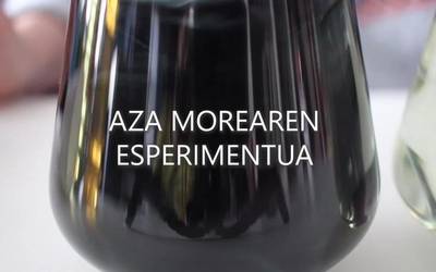 Zientziaenea 1