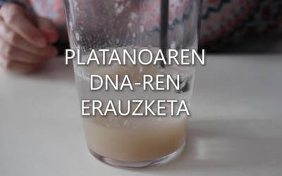 Zientziaenea 3