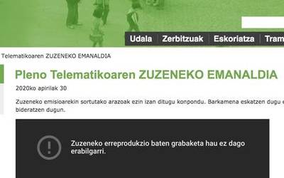 Ez ohiko osoko bilkura telematikoa ezin izan da online jarraitu