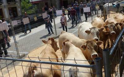 San Isidro eguna online bidez ospatzea aurreikusten dute