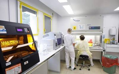 Nafarroan 95 gaixotuk alta hartu dute eta 23 positibo erregistratu dituzte PCR proben ondorioz