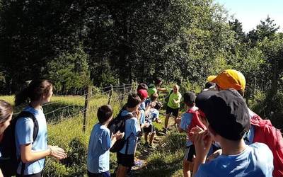 Pilota eta kirol aniztasun udalekuak bertan behera uztea erabaki dute