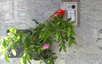 Iratzeek eta abadiek altsasuarren etxeak apaindu dituzte aurten ere