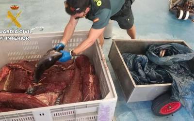 Salaketa jarri diote arrasatear bati legez kanpo arrantzatutako 122 hegalabur kilo atzeman ostean