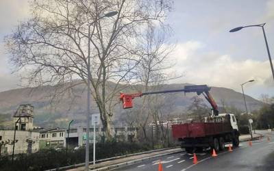 Ura agentziak 25 itzal-platanondo moztu eta zuhaitz autoktonoak landatu ditu Urola ibaian