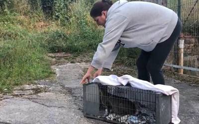 Kaleko katuen jarraipena egiten, bi boluntario