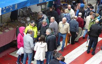 Udalak irabazi asmorik gabeko erakundeendako dirulaguntza deialdia egin du