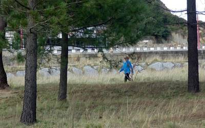Santiagoko landare inbaditzaileak kentzeko auzolan saioa izango da larunbatean