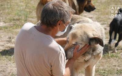 Animalientzako aterpea atontzen ari dira Urduñan