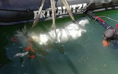 Gezurrezko gorpu bat atera dute Zolloko urtegitik