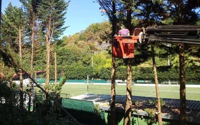 Lesakako futbol zelaiaren ondoko zuhaitzak mozten ari dira