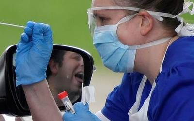 Azken orduetan 17 positibo atzeman dituzte; 11 Leitzako eremuan, 4 Bortzirietan eta 2 Doneztebeko eremuan