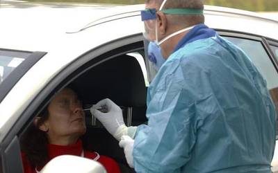 Lau positibo gehiago atzeman dituzte; bi Bortzirietan eta bana Leitzako eta Elizondoko eremuetan