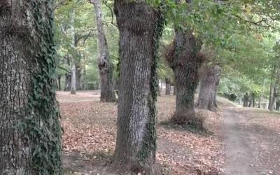 Aurten ez dira San Martin auzoko jaiak egingo