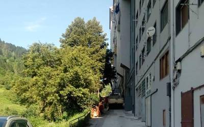 Bihar, zuhaitzak moztuko dituzte
