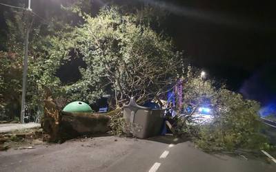 Zuhaitz bat erori da errepidera Garagartzan eta errei bat itxita dago