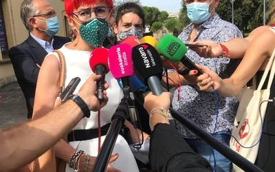 Covid-19aren aurkako neurriek gripearen zabalkundea murriztu dezakete