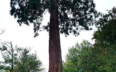 Pakito Arriaran omendu dute Monterron parkeko oroitarrian