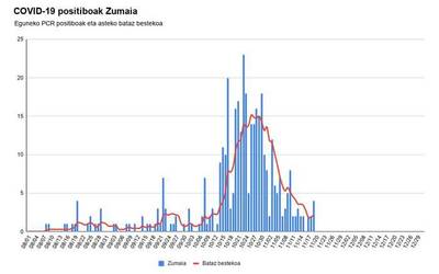 Beste lau kasu izan dira Zumaian Osasun Sailaren arabera
