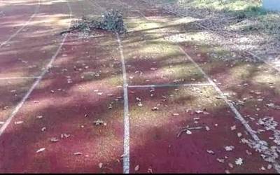Dantzalekuko atletismo pisten mantenu lanak egitea eskatu dio Udalari Dantzaleku Sakana taldeak