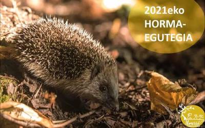 [BIDEOA]: Umerrik egindako egutegia Durangoko Azokan eskuragai