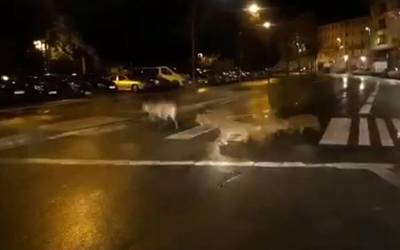 Basurde talde bat Aranbizkarra auzoraino iritsi da