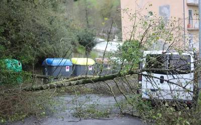 Luizi txiki bat izan da Jadarre auzoan