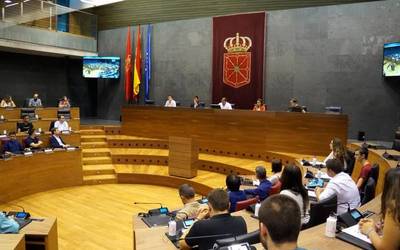 Gaur bildu da lehen aldiz Nafarroako Parlamentu Gaztea