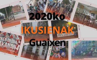 2020. urteko edukirik ikusienak