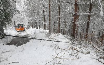 Elurra bideetatik erretiratzen dihardute arazoak sortu dituen tokietatik
