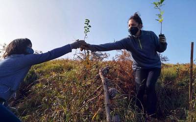 Zirardamendi inguruan auzolanean zuhaitzak landatzera animatu ditu herritarrak Lurgaia fundazioak