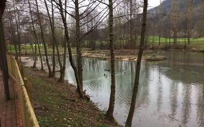 Hegaztiak babesteko hesia ipini dute Jauregibarria parkean