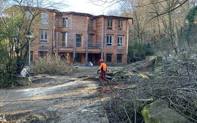 Segurtasuna bermatze aldera, Natur Eskola inguruko zuhaitzak botatzen ari dira